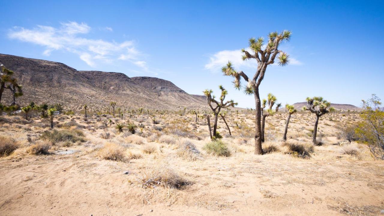 Wind Hill Hotel Yucca Valley Bagian luar foto